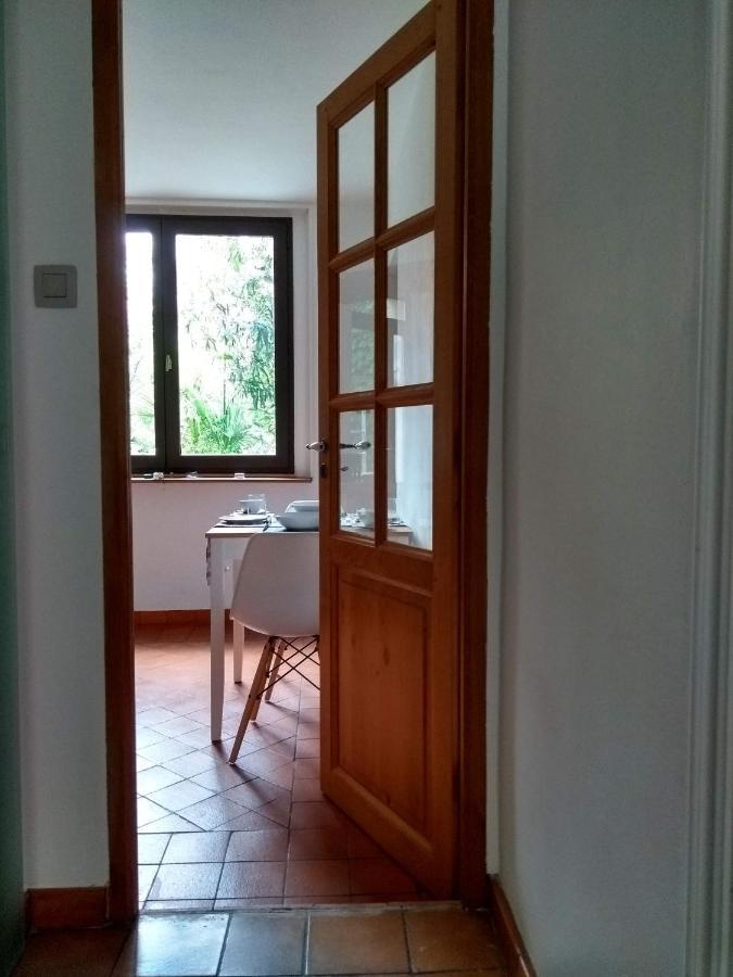 Number15 Guesthouse Carcassonne Exterior foto