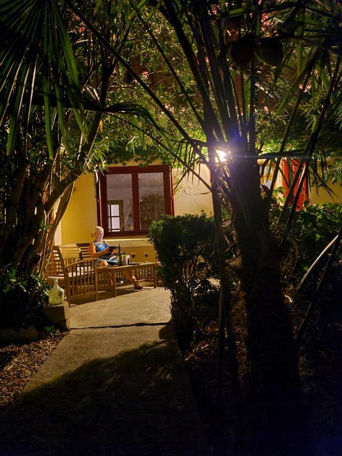Number15 Guesthouse Carcassonne Exterior foto